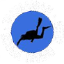 tasmanianscubadivingclub_tas.png